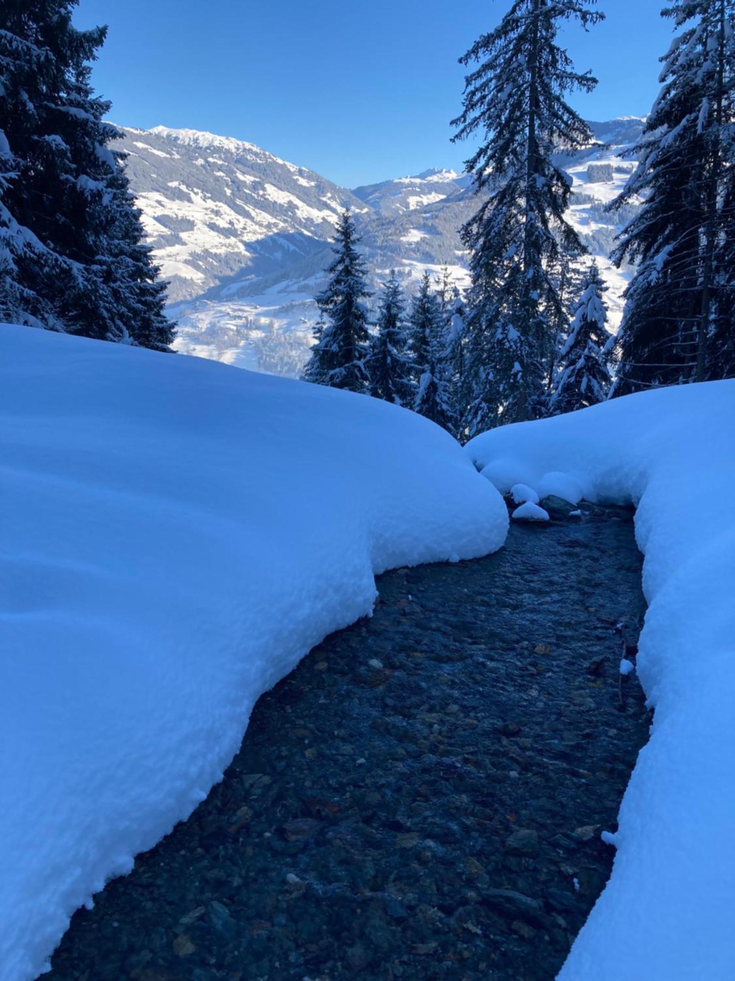 فيلا Goass'N Alm Zillertal هيباخ المظهر الخارجي الصورة