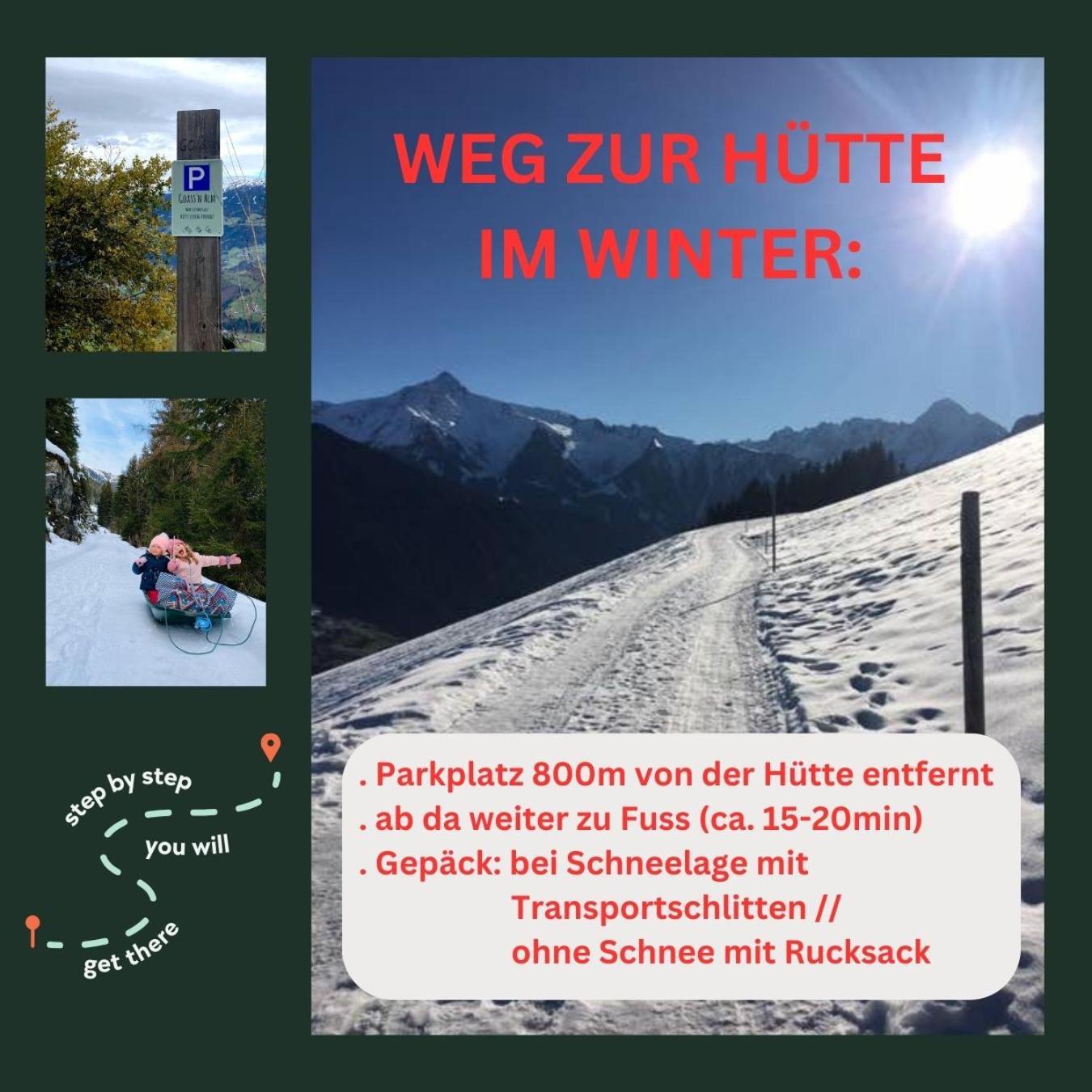 فيلا Goass'N Alm Zillertal هيباخ المظهر الخارجي الصورة